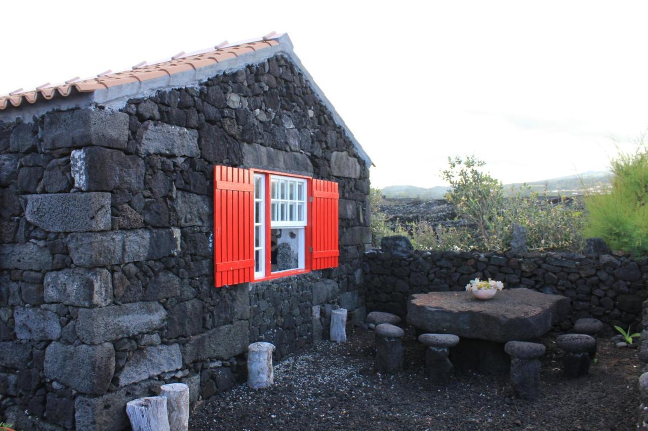 Ocean View In Unesco Heritage Site Holiday home Criacao Velha